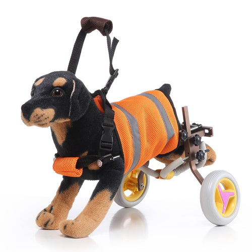 Dog Wheelchair for Back Legs, Small Breeds | SeniorPaws