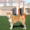 Dog Lift Harness for Weak Back Legs | SeniorPaws