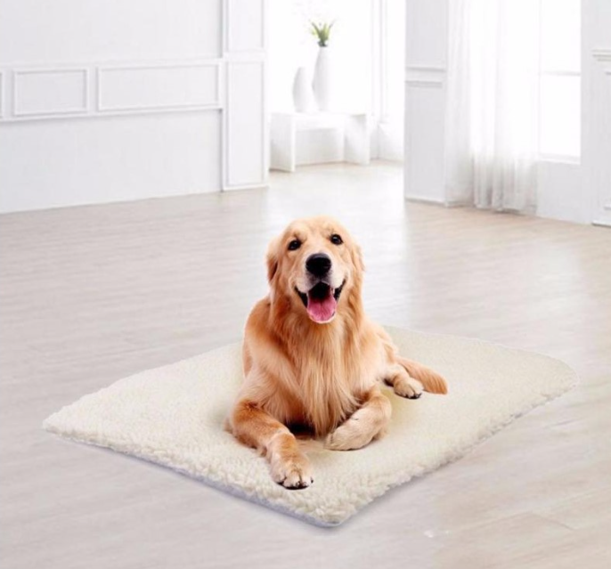 Self-Warming Pet Mat — No Cord, No Plug | SeniorPaws