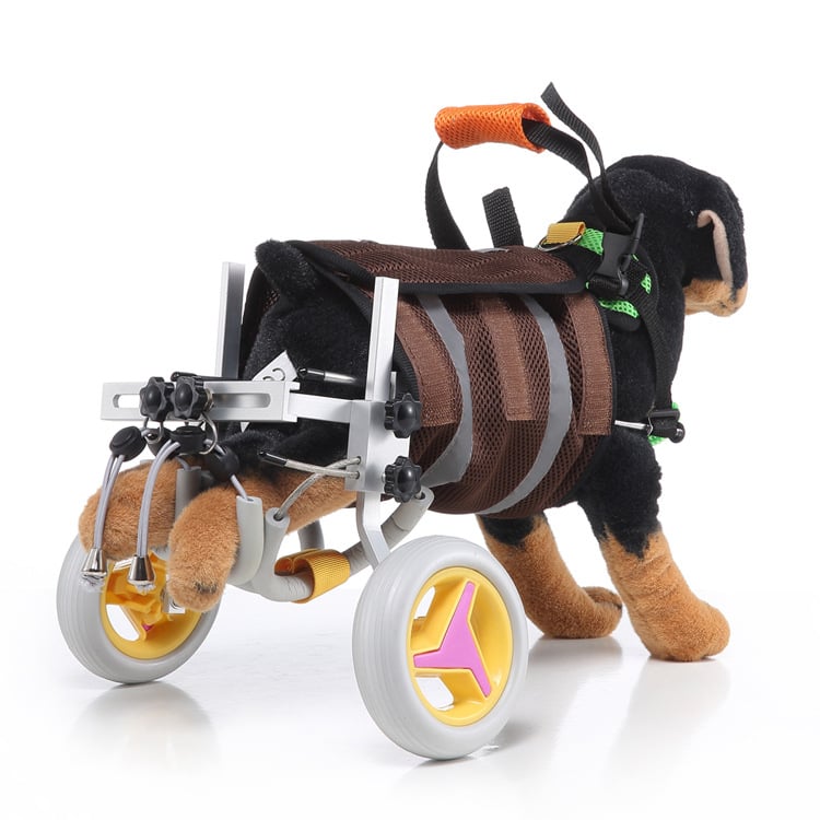 Dog Wheelchair for Back Legs, Small Breeds