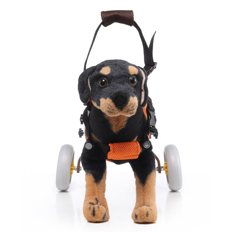 Dog Wheelchair for Back Legs, Small Breeds